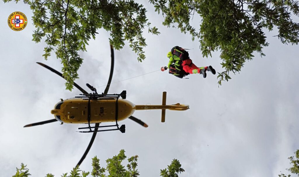 Punto da calabroni mentre va a funghi