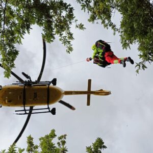 Punto da calabroni mentre va a funghi