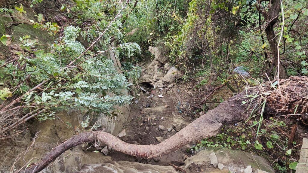 Frana a Sasso Marconi: chiusa via Gasparri, interrotta la circolazione dei treni