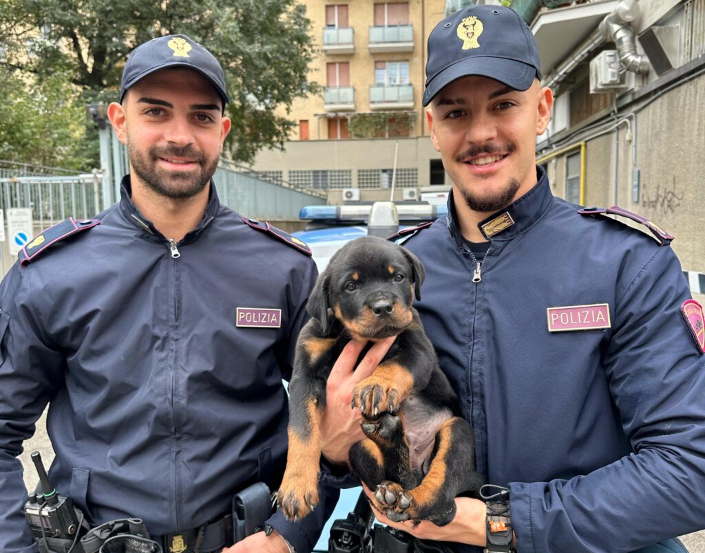 Maltratta un cucciolo di cane di 50 giorni: 27enne denunciato dalla polizia