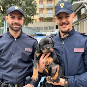 Maltratta un cucciolo di cane di 50 giorni: 27enne denunciato dalla polizia