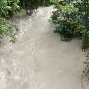 A Bologna evacuati piani terra e interrati vicino al fiume Reno e ai torrenti Savena e Ravone