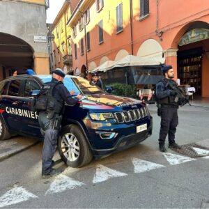 18enne arrestato per il furto di una borsetta