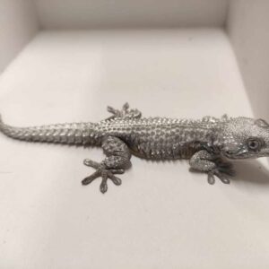 Salvato dai volontari della Lipu un geco colorato con vernice argentata