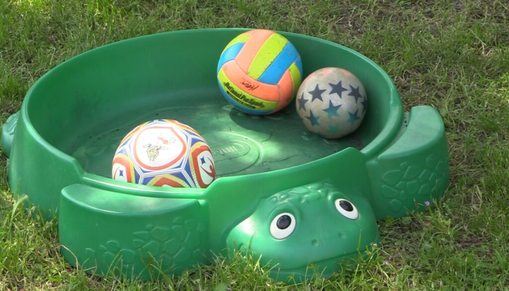 Scoperte tracce di topo, chiuso asilo a Casalecchio di Reno