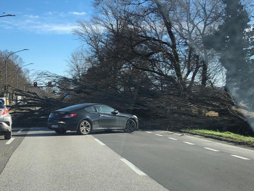 Allerta vento a Bologna: divieto di permanenza nei parchi, voli dirottati