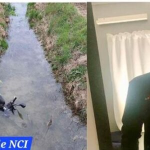 Fuori strada con lo scooter: muore studente 19enne residente a San Lazzaro di Savena