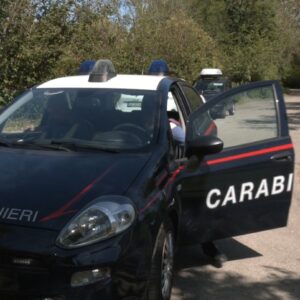 Sta meglio il 22enne rimasto folgorato potando un albero