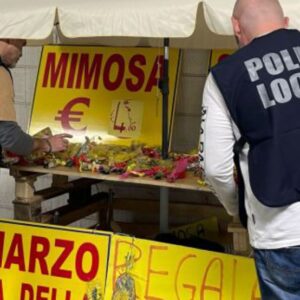 Festa della Donna: sequestrati 640 mazzi di mimosa vendute abusivamente