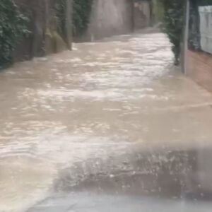 Forti piogge e venti in arrivo, il comune di Bologna apre il Coc