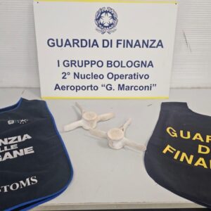 Importa in Italia vertebre di delfino, sequestro e maximulta