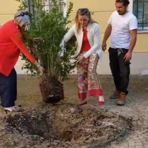 Un anno senza Sofia: un melograno davanti alla Casa Gialla