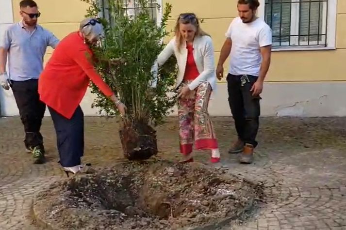 Un anno senza Sofia: un melograno davanti alla Casa Gialla