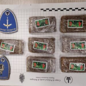 Il fiuto di Ares fa scoprire alla polizia locale sette etti di hashish