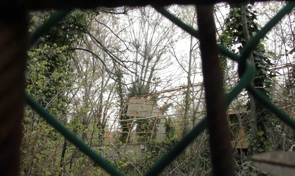 Aggressione con coltelli all’ex Stamoto: uomo ferito chiede aiuto in strada