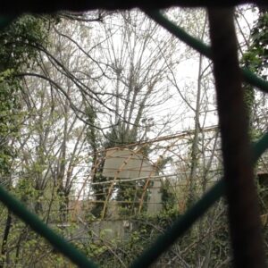 Aggressione con coltelli all’ex Stamoto: uomo ferito chiede aiuto in strada