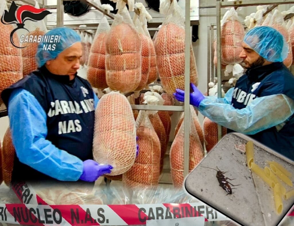 Mortadelle scadute e scarafaggi in cucina, maxisequestro fra le ‘eccellenze’ bolognesi
