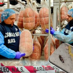 Mortadelle scadute e scarafaggi in cucina, maxisequestro fra le ‘eccellenze’ bolognesi