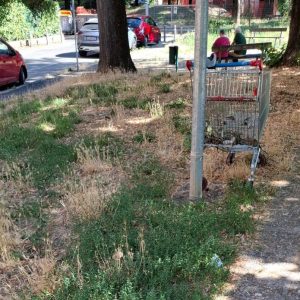 Verde pubblico, ancora una segnalazione. Sporcizia e incuria al Giardino Guidacci