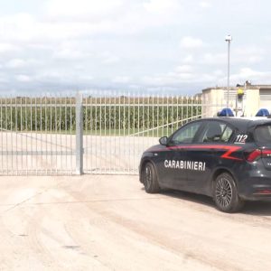 Operaio muore schiacciato da un muletto a Molinella, aveva 28 anni