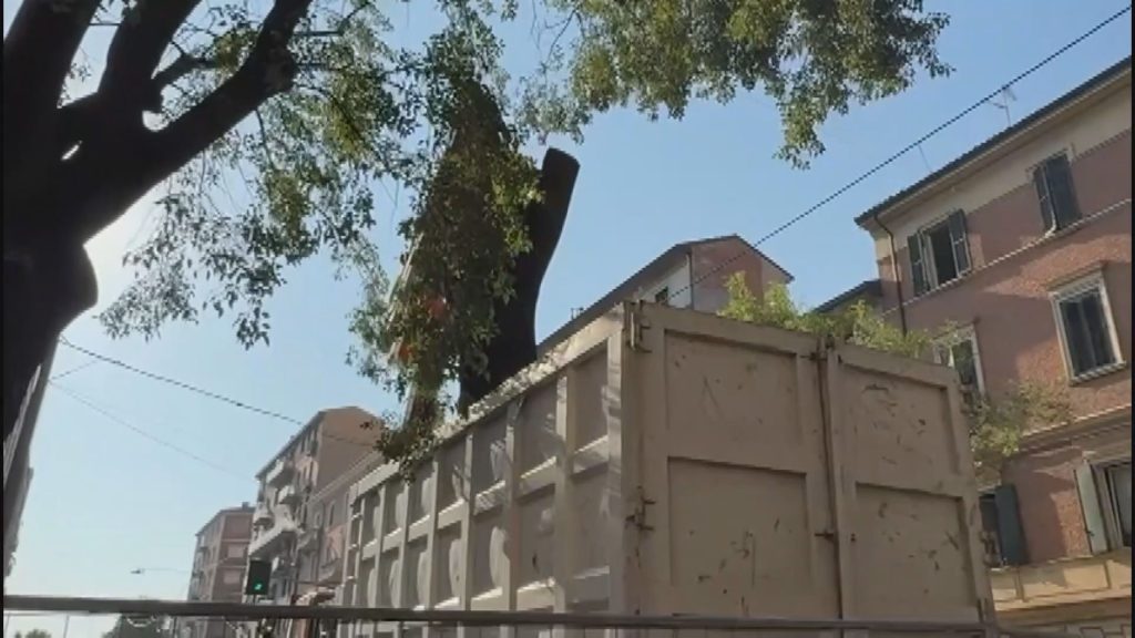 A Bologna i Verdi si ribellano a Lepore e a Bonelli