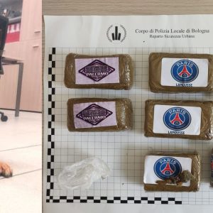 Il fiuto di Ares non fallisce: trovati sei etti di droga in zona San Donato