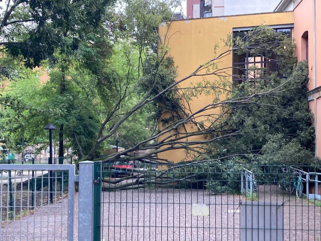 Albero crolla per il maltempo al Parco 11 Settembre