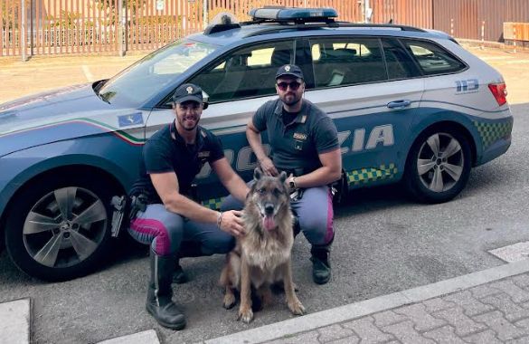 Il pastore tedesco Luna si perde e finisce in A14, la Polstrada la ritrova