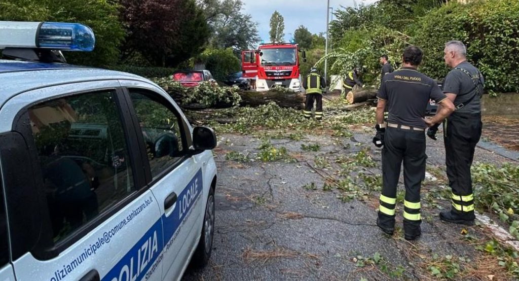 Crollati alberi anche a San Lazzaro, chiuse alcune strade