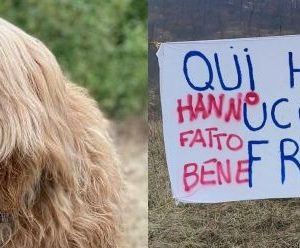 Chiesta l’archiviazione per le indagini sull’uccisione del cane Franco a Monte San Pietro