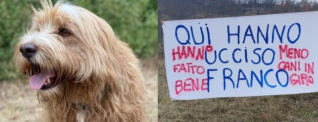 Chiesta l’archiviazione per le indagini sull’uccisione del cane Franco a Monte San Pietro