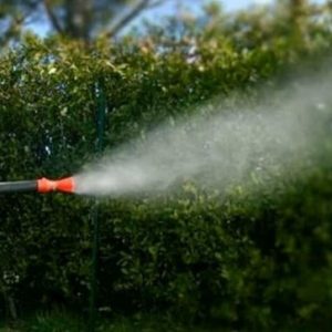 Caso Dengue a Bologna, avviata la profilassi