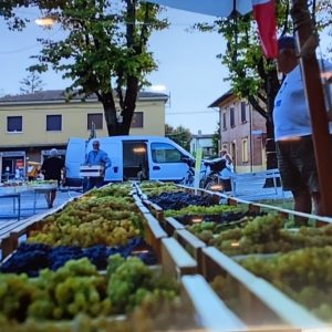 A Castenaso torna la Festa dell’Uva