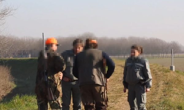 Cacciavano cinghiali con armamentario militare, due bracconieri denunciati dalla Polizia Locale