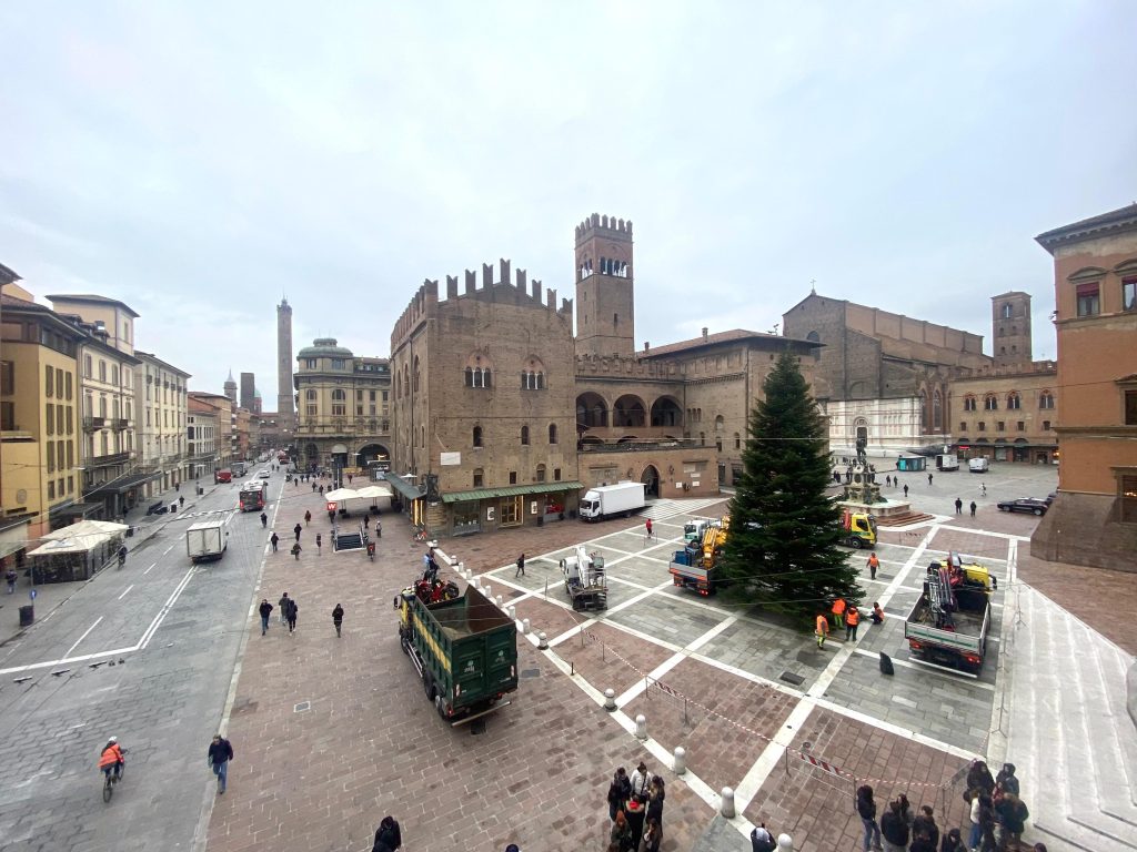 Posizionato l’albero di Natale del Comune in Piazza Nettuno
