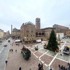 Posizionato l’albero di Natale del Comune in Piazza Nettuno