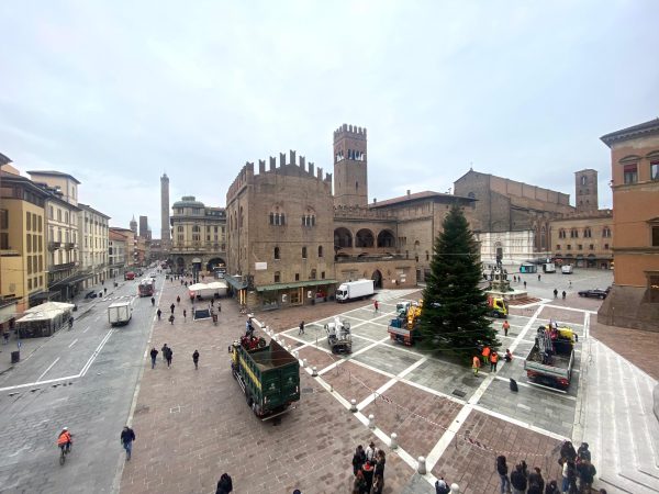 Posizionato l’albero di Natale del Comune in Piazza Nettuno