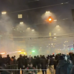 I proPal mettono Bologna a ferro e fuoco