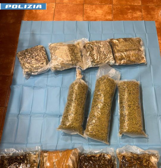 Nasconde, in alcuni pacchi e in cantina, 13 chili di marijuana: arrestato