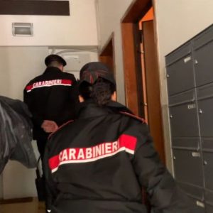 18enne ai domiciliari aizza il pitbull contro un carabiniere