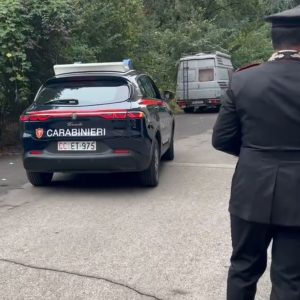 In casa proiettili, soldi e cocaina: 22enne arrestato in zona Casteldebole