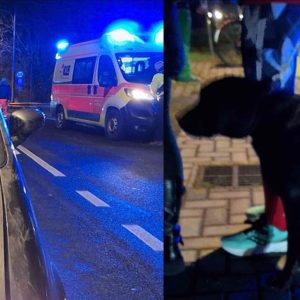 Pedone investito e ucciso mentre porta a spasso il cane