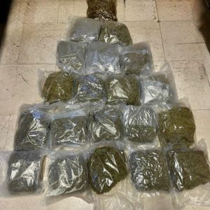 Nascondevano 20kg di droga, arrestati marito e moglie