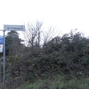 Maltempo, bolognesi al buio e al freddo per diverse ore