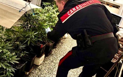 Allestito in casa un ‘laboratorio’ per produrre e confezionare marijuana