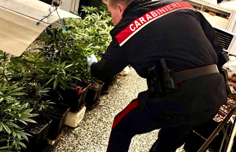 Allestito in casa un ‘laboratorio’ per produrre e confezionare marijuana