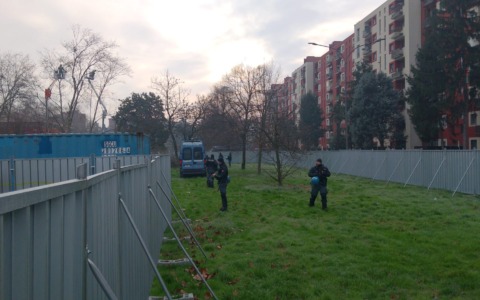Taglio degli alberi al Pilastro: molta tensione e un attivista fermato