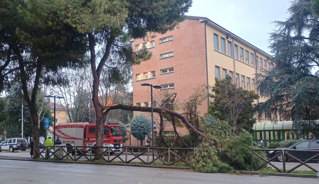 San Lazzaro: ramo di un albero si spezza davanti a una scuola, nessun ferito