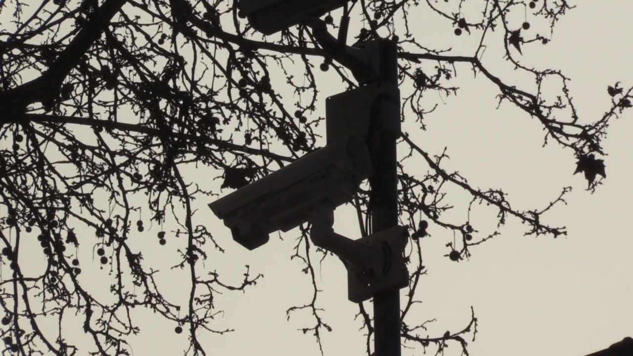 Con auto rubate chiudono la strada e tentano un furto: ladri messi in fuga dai carabinieri