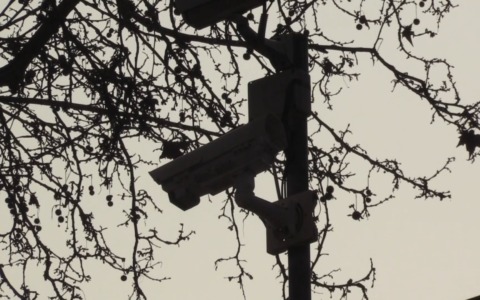 Con auto rubate chiudono la strada e tentano un furto: ladri messi in fuga dai carabinieri